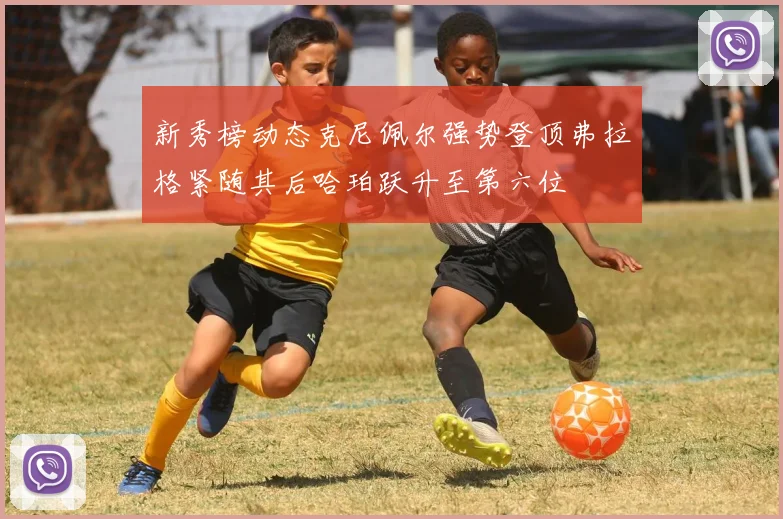 新秀榜动态克尼佩尔强势登顶弗拉格紧随其后哈珀跃升至第六位
