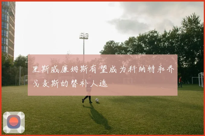 里斯威廉姆斯有望成为科纳特和乔戈麦斯的替补人选
